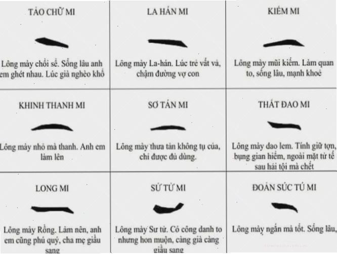 Phân tích dáng lông mày phụ nữ, từ đó dự đoán tính cách và sự nghiệp