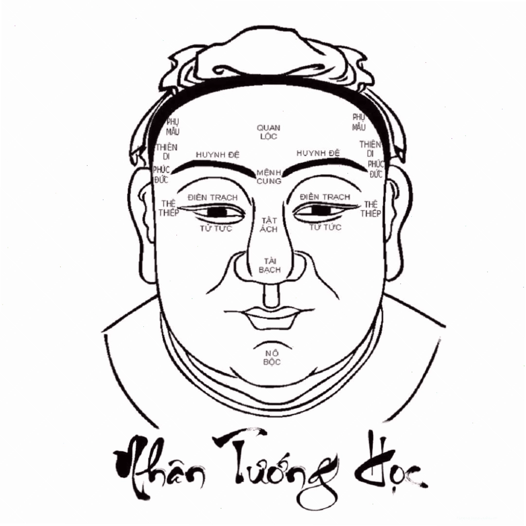 Phân tích độ tương hợp qua nhân tướng học