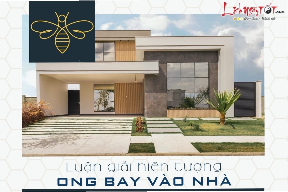 Phân tích hiện tượng ong bay quanh người theo quan niệm tâm linh
