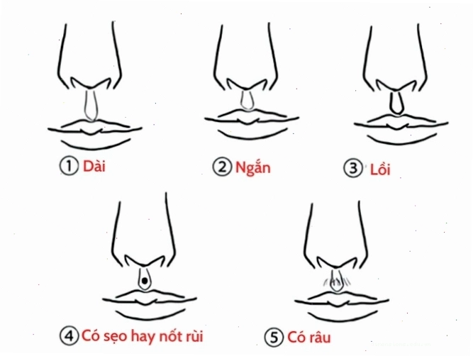 Phân tích tướng mũi phụ nữ theo nhân tướng học