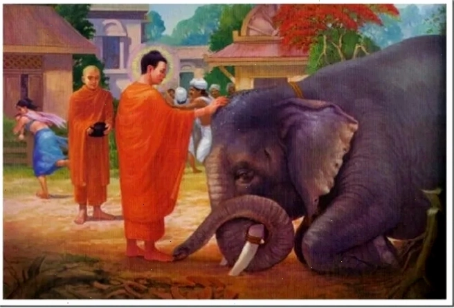 Phật dạy về lòng từ bi và sự sẻ chia
