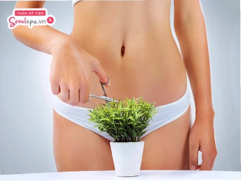 Phụ nữ xương mu cao có nốt ruồi vùng kín vận mệnh tốt là một trong những quan niệm dân gian