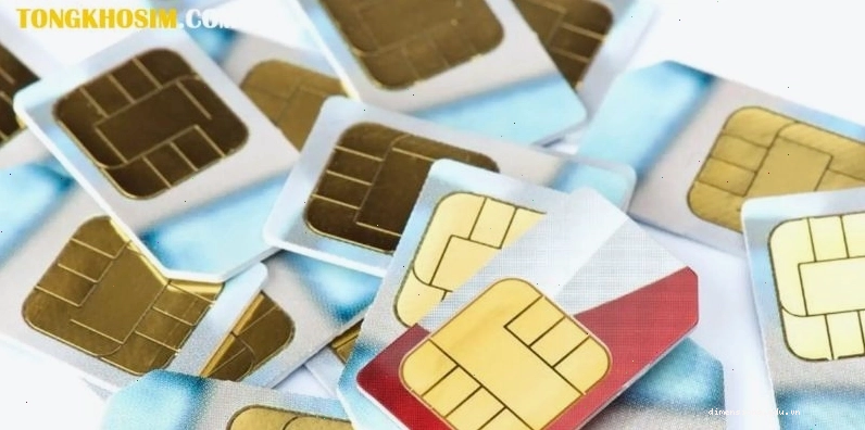 Phương pháp xem bói sim phong thủy dựa trên ngày sinh và giờ sinh