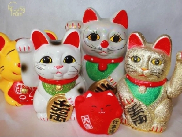 Quan niệm mèo tam thể vào nhà tại Nhật Bản