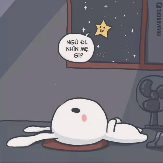 Thỏ bảy màu meme diễn tả sự bất lực