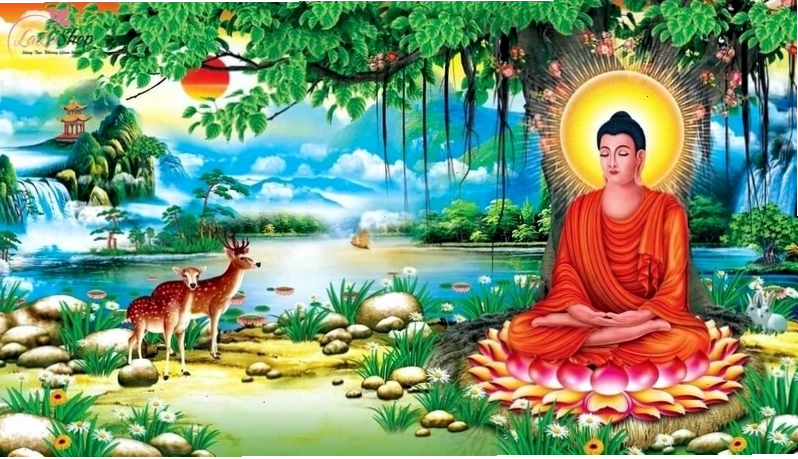 Tìm hiểu về Đức Phật Thích Ca Mâu Ni và sự tồn tại của Ngài