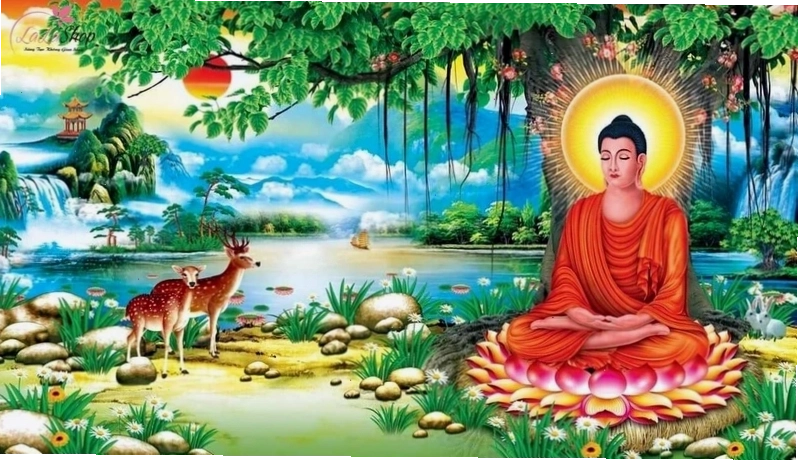 Tìm hiểu về Phật Thích Ca