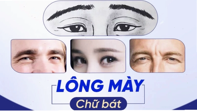 Tướng lông mày Chữ Bát ở nam giới