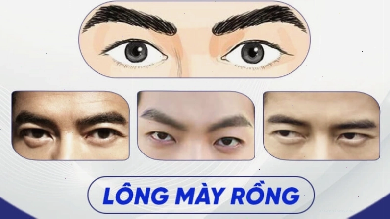 Tướng lông mày Rồng ở nam giới