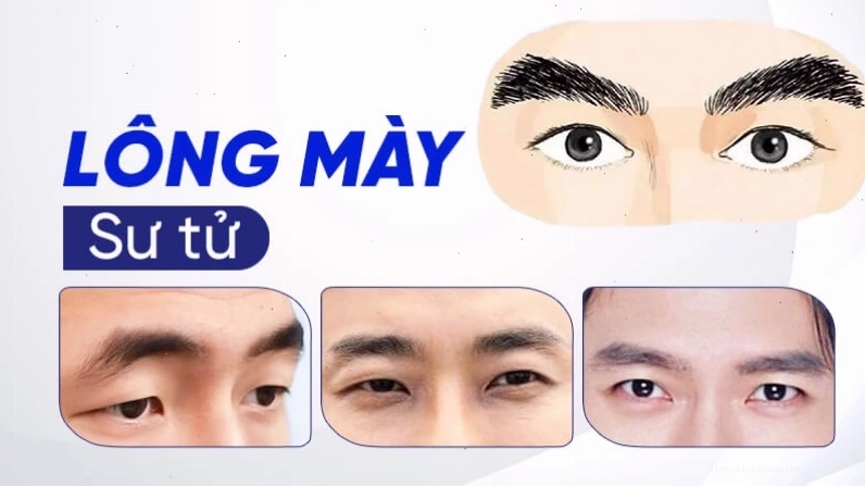 Tướng lông mày Sư Tử ở nam giới