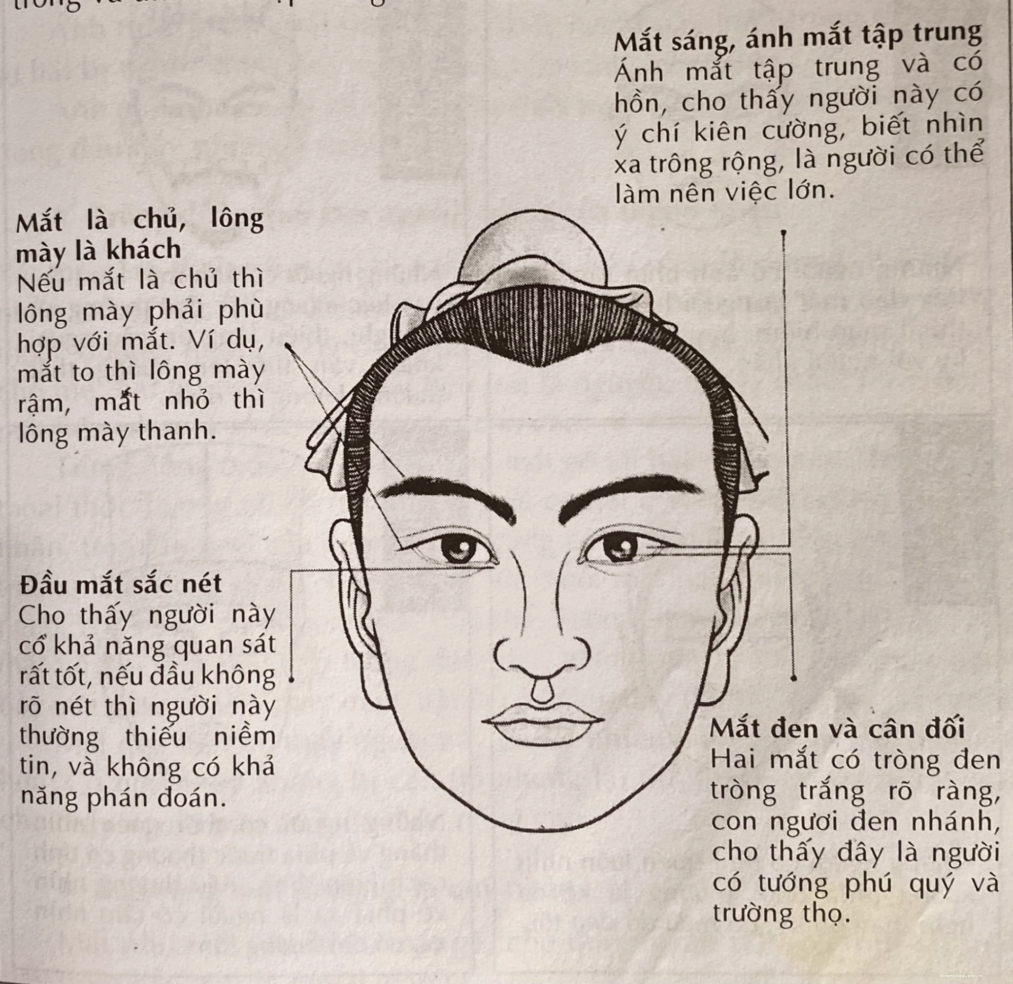 Tướng mắt phú quý trong nhân tướng học