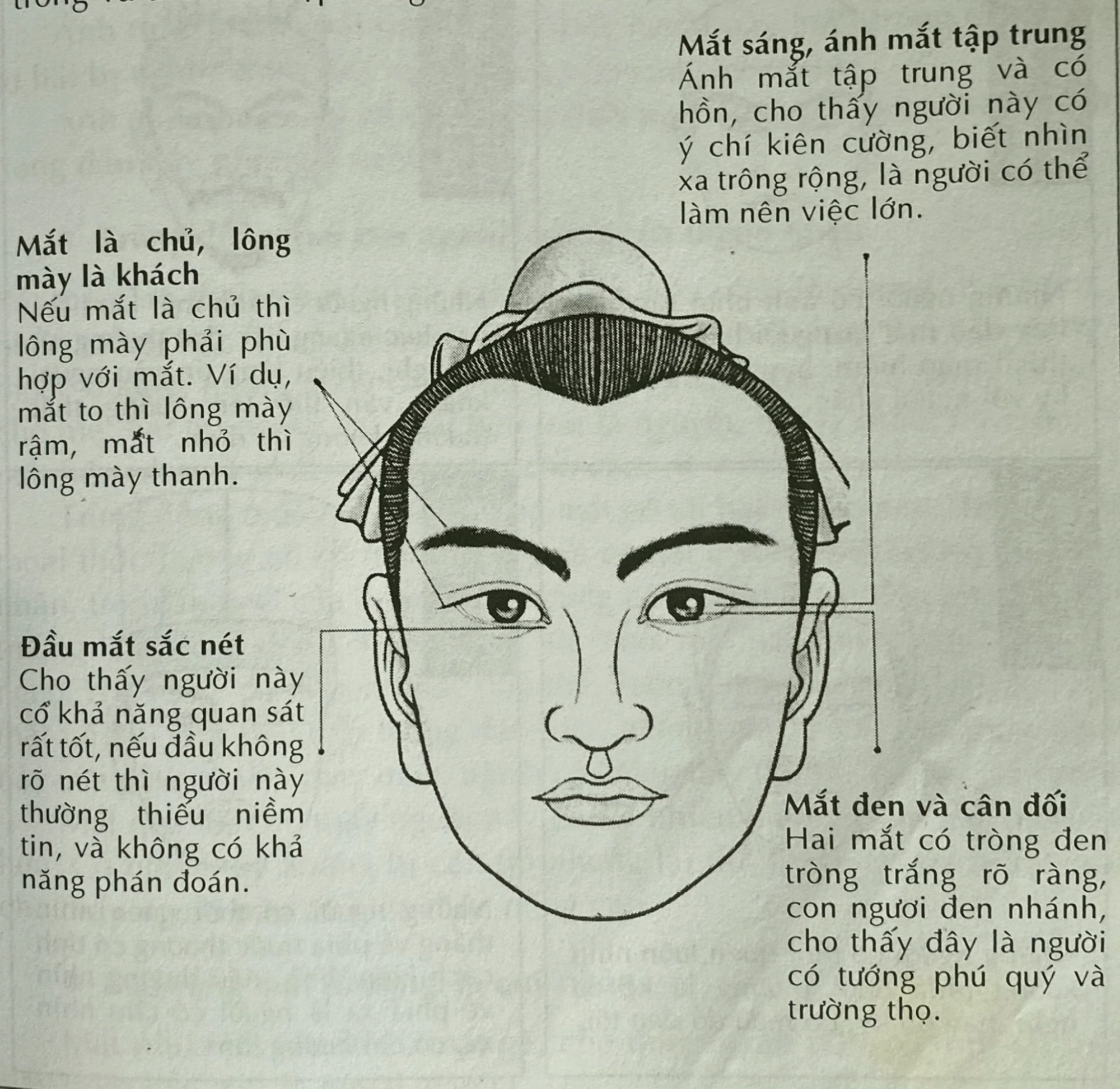 Tướng mắt phú quý với đôi mắt sáng và có thần