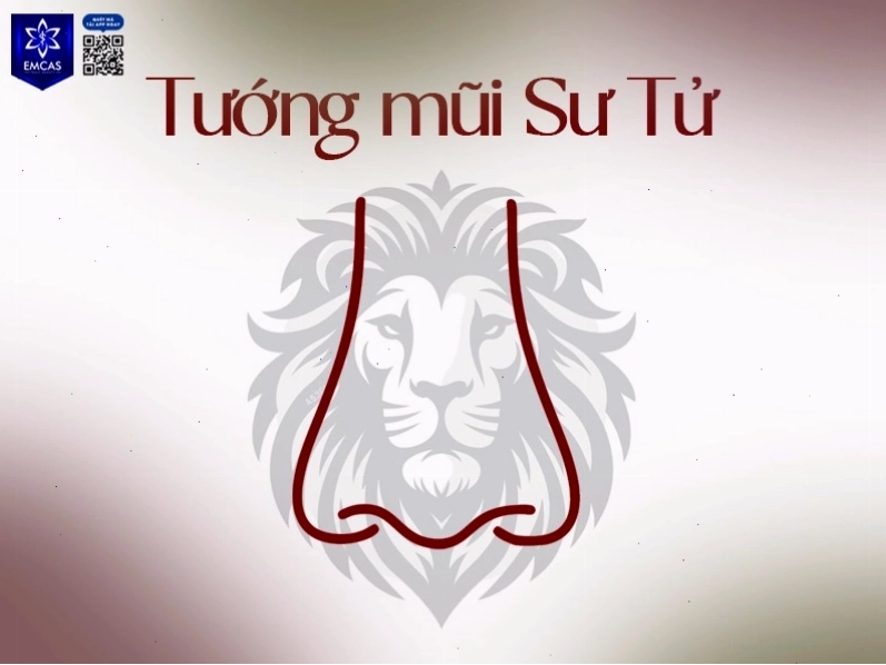 Tướng mũi sư tử thể hiện sự mạnh mẽ và quyền uy
