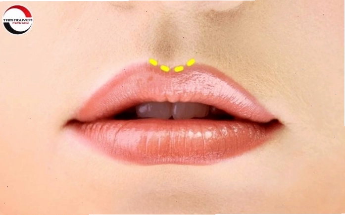 Tướng phụ nữ có môi trái tim thể hiện sự duyên dáng và lãng mạn