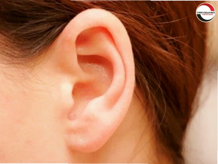 Tướng tai đàn ông có dái tai to và dày