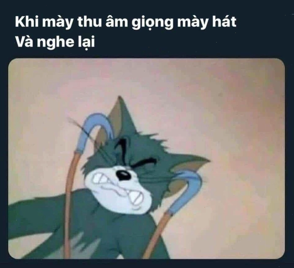 Tuyển tập ảnh mèo Tom hài hước