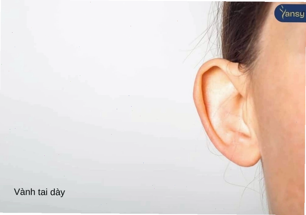 Vành tai dày thể hiện sự phú quý và an nhàn