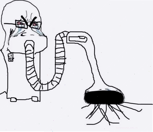 Wojak meme với nét mặt phấn khích