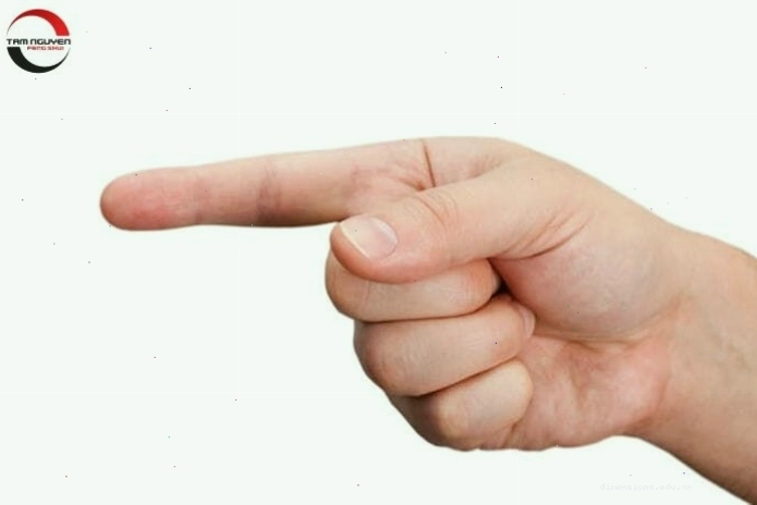 Xem tướng qua độ dài ngón tay
