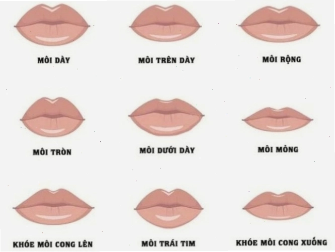 Ý nghĩa của từng dáng môi phụ nữ theo nhân tướng học