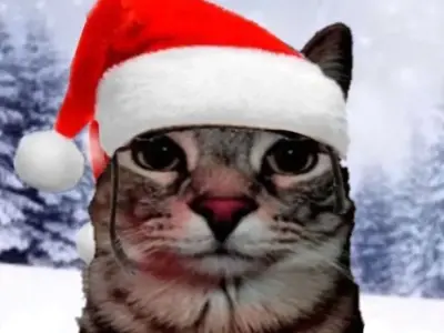 Bộ sưu tập mèo Noel meme đáng yêu hot nhất mùa Giáng sinh