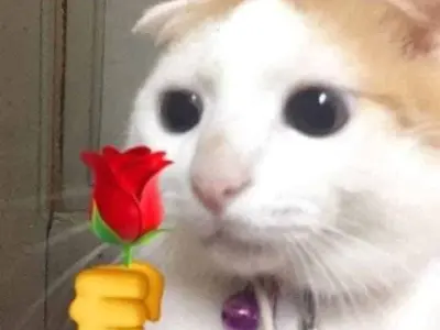 Meme tặng quà hài hước, gửi gắm thông điệp đặc biệt