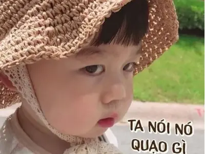 Chia sẻ ngay những meme giận khiến bạn không nhịn được cười