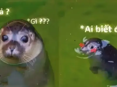 Meme ai biết gì đâu Cười sảng khoái với loạt ảnh hài hước