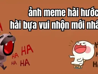 Khám phá meme hài hước khiến cộng đồng mạng cười sảng khoái