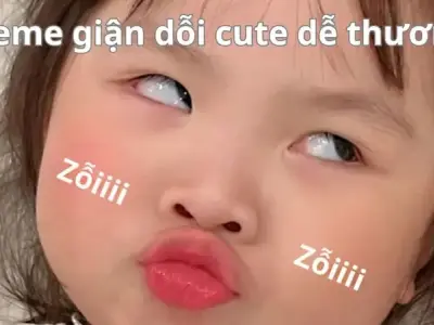Meme tức giận gây sốt mạng xã hội khiến bạn bật cười ấn tượng