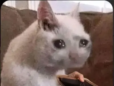 Những meme xin tiền vui nhộn đang gây sốt cộng đồng mạng