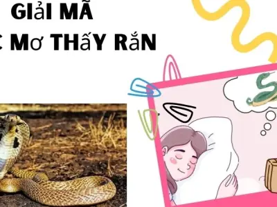 Giải mã giấc mơ thấy rắn - Tiết lộ điều bí ẩn trong đời bạn