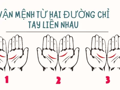 Giải mã hai đường chỉ tay liền nhau và ý nghĩa vận mệnh