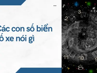 Ý nghĩa các con số trong biển số xe dưới góc nhìn chuyên gia