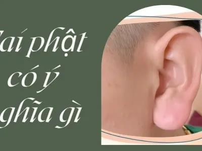 Tai phật có ý nghĩa gì giải mã chi tiết theo tướng học