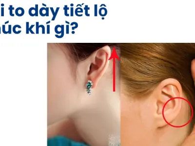Ý nghĩa tướng tai to dày và sự thật về phúc khí con người