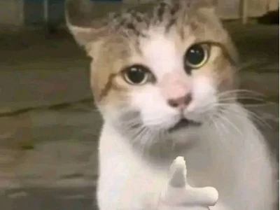 20 Meme Chia Tay Hài Hước: Khi Nỗi Buồn Tan Vỡ Thành Tiếng Cười