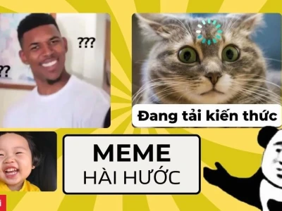 Avatar Ảnh Đại Diện Meme Vô Tri Hài Hước Nhất 2026