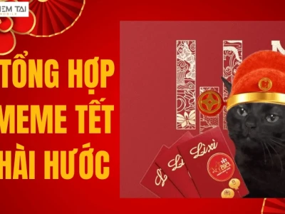 Avatar Tết Meme 2026: Tuyển Tập Ảnh Hài Hước, Độc Đáo