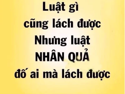 Bức Tranh Nhân Quả: Hiểu Rõ Quy Luật Vũ Trụ Để Sống An Lạc