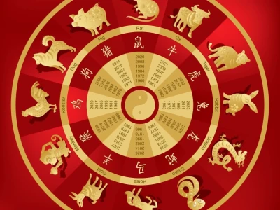 Coi phong thủy 2026: Hướng dẫn chi tiết và những điều cần tránh