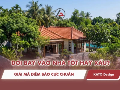 Con Dơi Bay Vào Nhà Là Điềm Gì? Giải Mã Ý Nghĩa Theo Quan Niệm Dân Gian