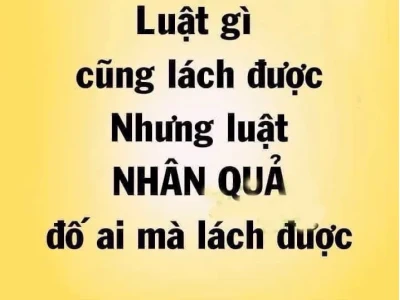 Giải mã sức hút 'quả báo meme': Hiện tượng mạng xã hội năm 2026