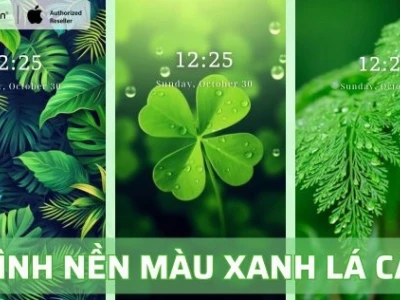 Khám phá bộ sưu tập Avatar Anime Xanh Lá Độc Đáo 2026