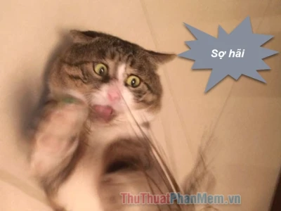 Khám phá Meme Sợ Hãi: Biểu cảm Hoảng Loạn Gây Sốt Cộng Đồng Mạng