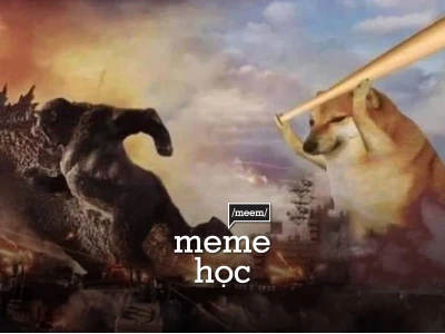 Khám phá thế giới meme Cheems và những điều thú vị chưa từng biết
