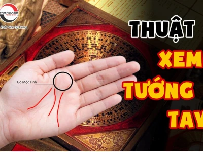 Khám phá thuật xem tướng chỉ tay: Giải mã vận mệnh qua đường chỉ tay