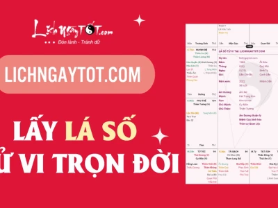 Khám Phá Xem Tướng Số Tử Vi: Luận Giải Vận Mệnh Trọn Đời Năm 2026