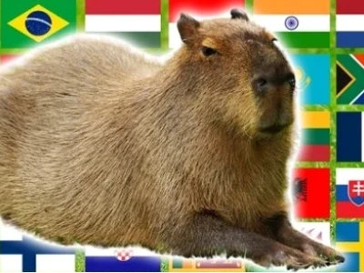 Meme Capybara: Biểu tượng của sự chill và vô tri hài hước