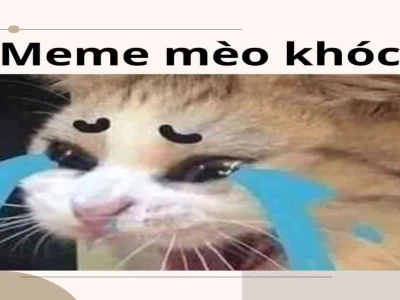 Meme Mèo Chuối Khóc: Biểu Cảm 'Ngáo Ngơ' Gây Sốt Mạng Xã Hội